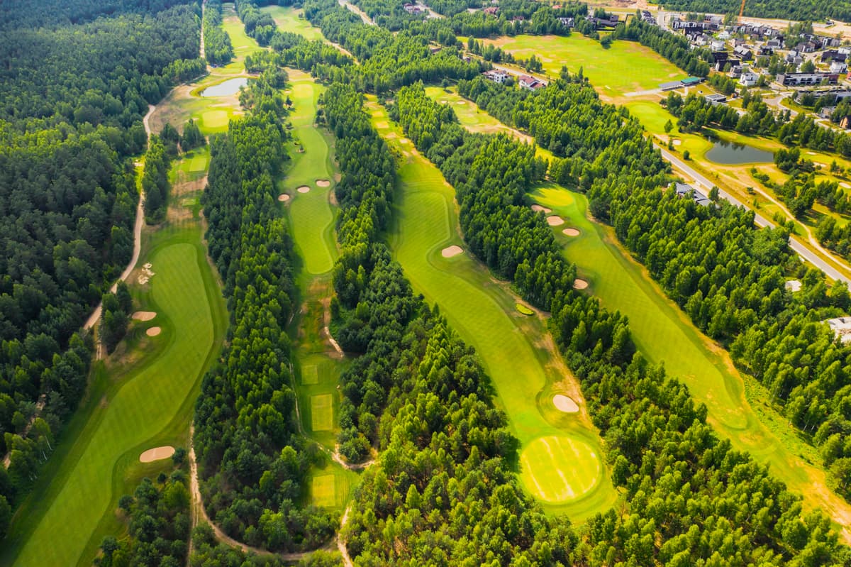 Aerial view of a golf hole cut through woodland